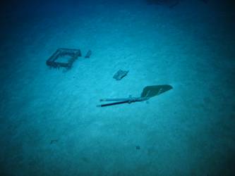 Aircraft rudder from Walrus?